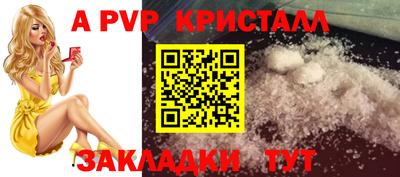 стаф Гай