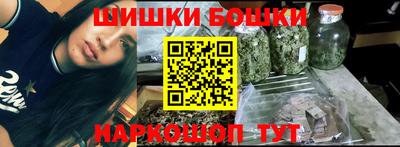 стаф Гай