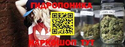 стаф Гай