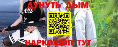 стаф Гай