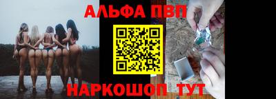 стаф Гай