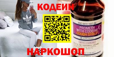 стаф Гай